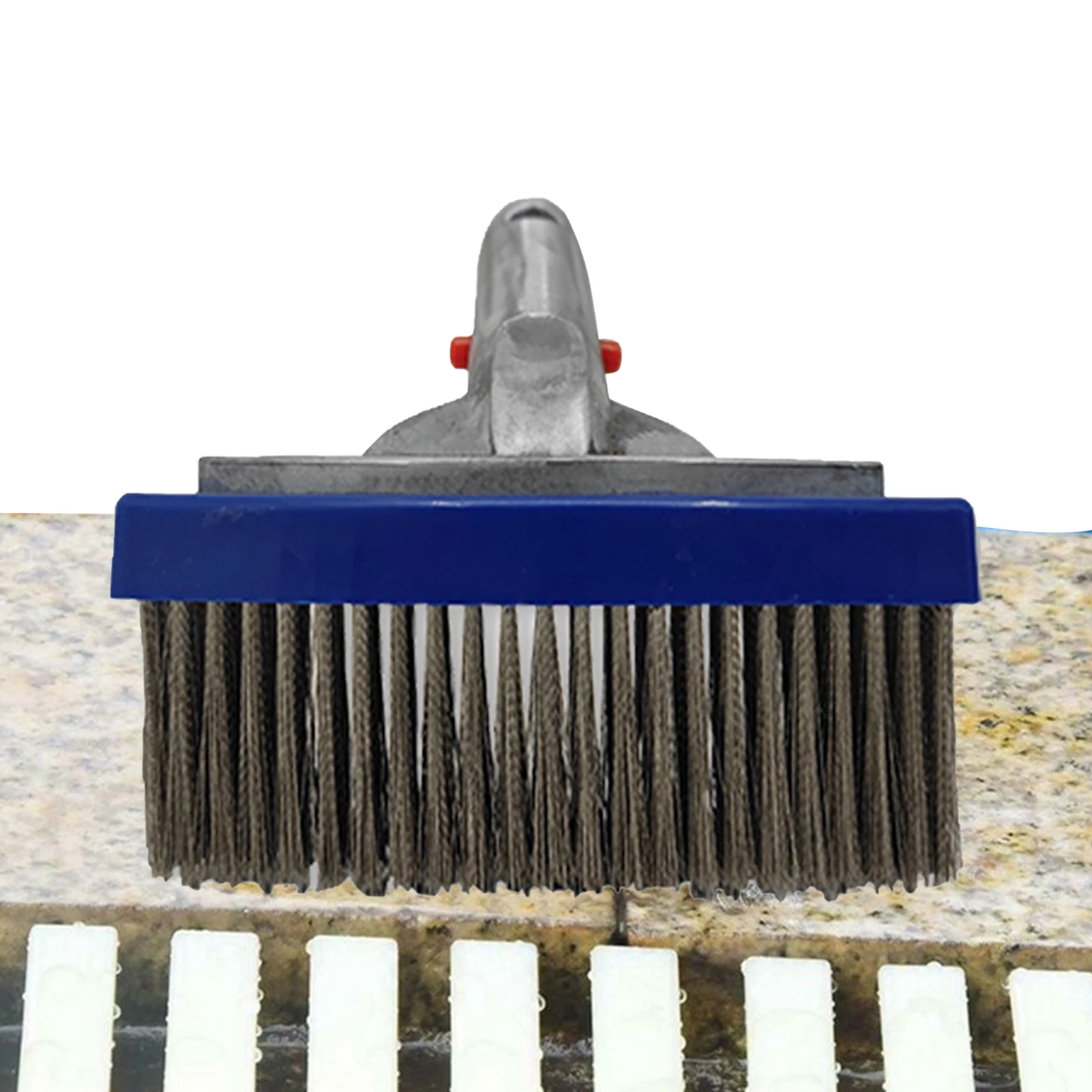 

Pool Brushes For Cleaning Pool Swimming Pool Cleaner Scrub Brush Pool Cleaning Equipment With Stainless Steel Bristles For Handy