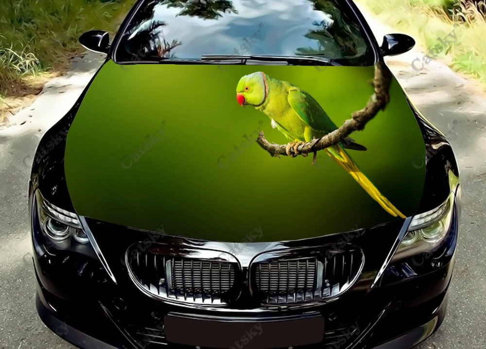

Animal Parakeet Car Hood Wrap Color Vinyl Sticker Decal Truck Graphic Bonnet Decal Custom Car Hood Protective Film Hood Sticker