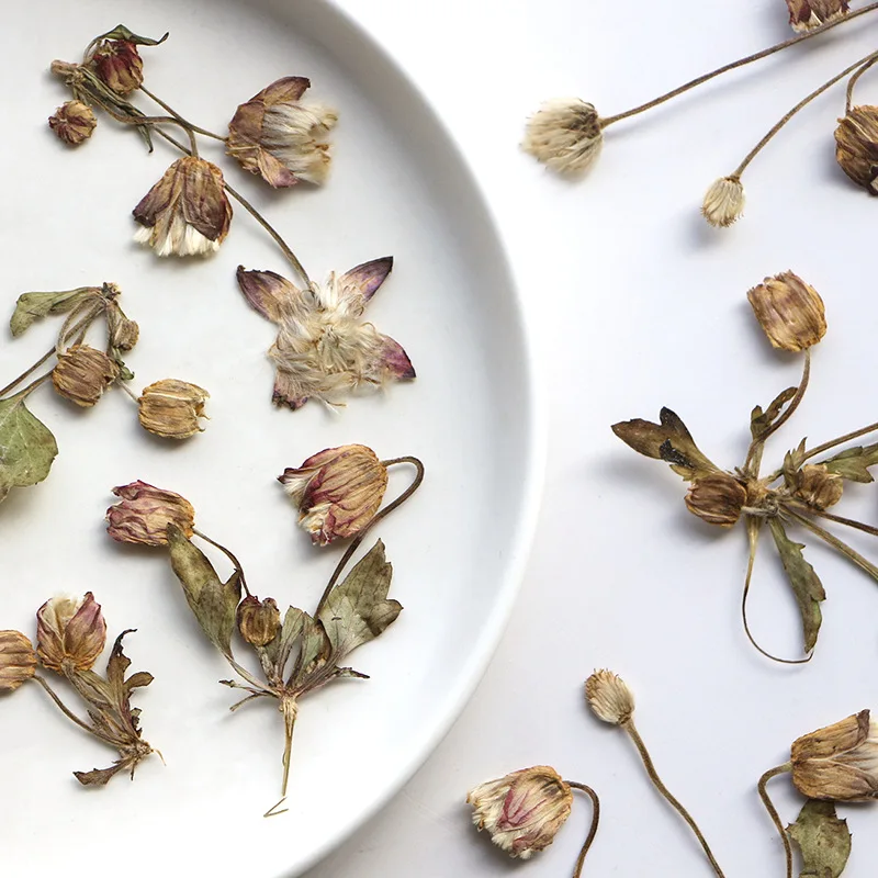 

120pcs Pressed Dried Flower Bud Leaf Stem Herbarium For Resin Epoxy Jewelry Card Bookmark Frame Phone Case Makeup Lamp