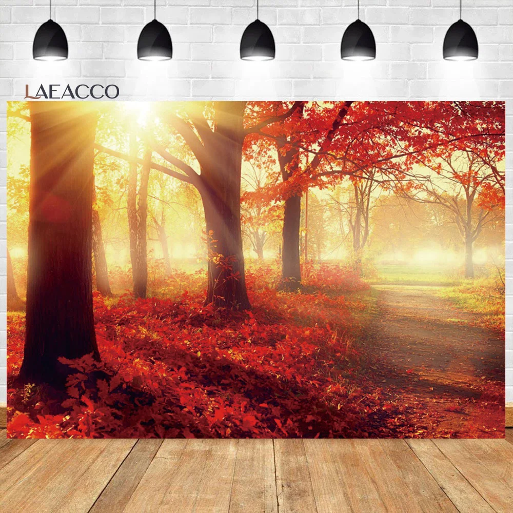 

Laeacco Autumn Forest Sunrise Backdrop Fall Natural Scenery Sunshine Golden Maple Leaves Adult Portrait Photography Background