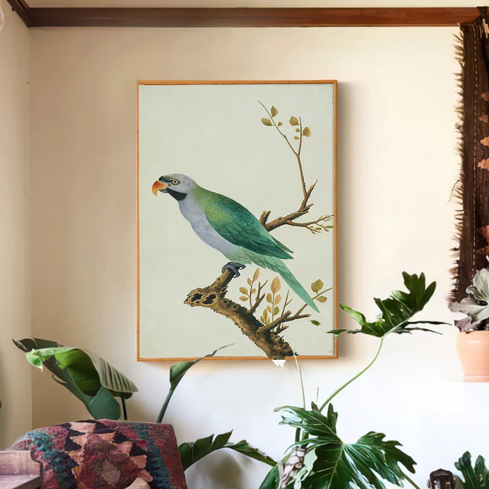 

Derbyan Parakeet Vintage China Art Print Poster Animal Bird Wall Picture Parrot Canvas Painting Decor