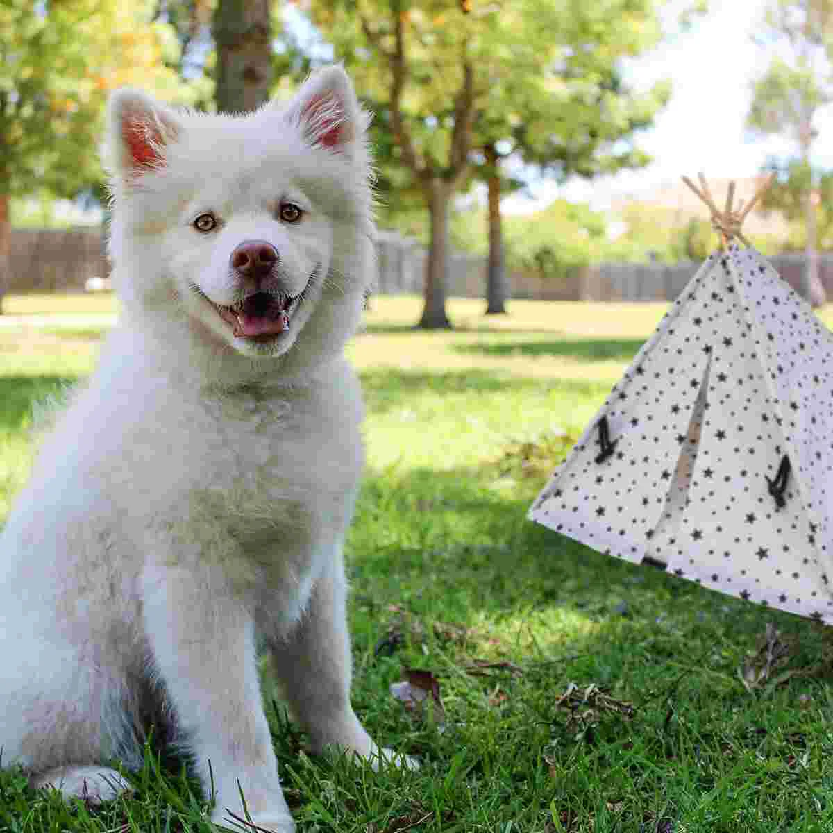 

Dog Tent Pet Teepee Cat Bed House Dogs Indoor Tents Puppy Breathable Cats Beds Cage Portable Cave Houses Outdoor Cushion Kennel