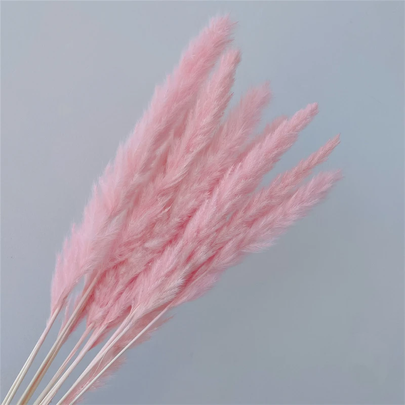 

Букет сухой пампа травы Ocedes