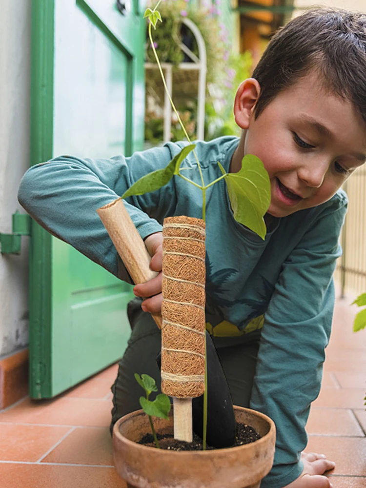 

Набор столбов для растений с полосками, этикетки для растений, инвентарь для посадки, искусственное расширение для подъема растений, комнат...