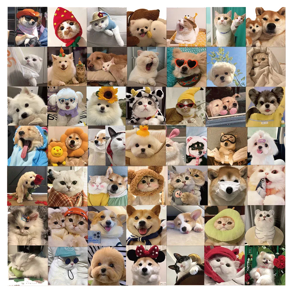 

10/30/50PCS New Cat and Dog Animal Sticker Pack Cartoon Creative Animation iPad Table Chair Car Decoration Waterproof Wholesale