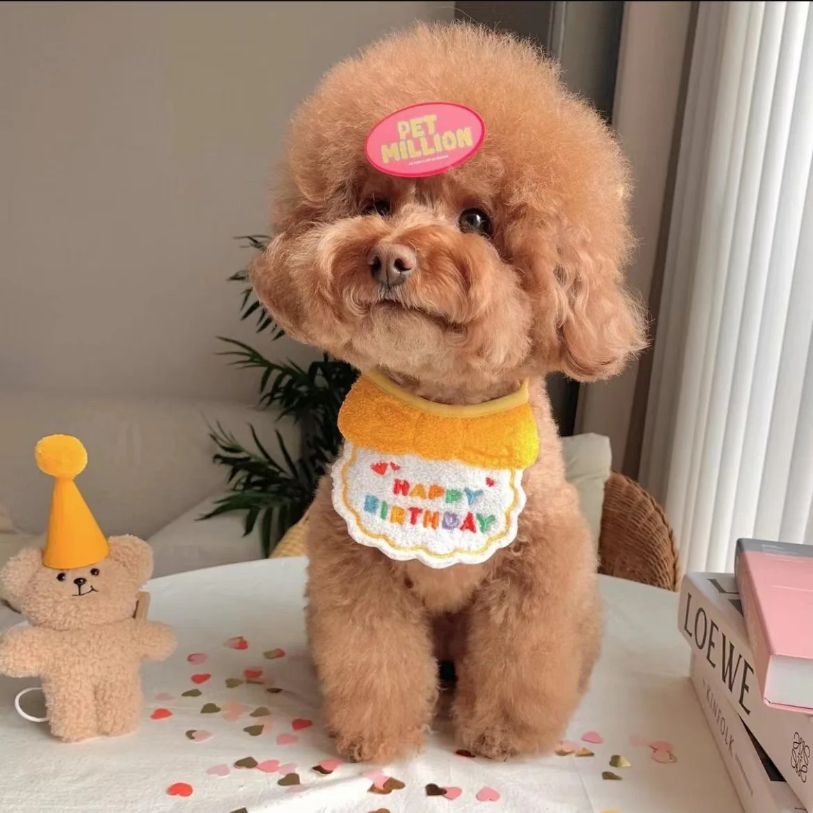 

1set Dog Birthday Party Hat And Bib Dog Cat Pet Saliva Pocket Towel Bichon Dog Pets Dog Accessories Pet Supplies Pet Product