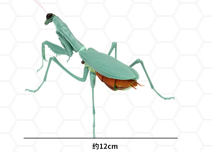 Фигурки насекомых Bandai Deroplatys Brancsikia Series02