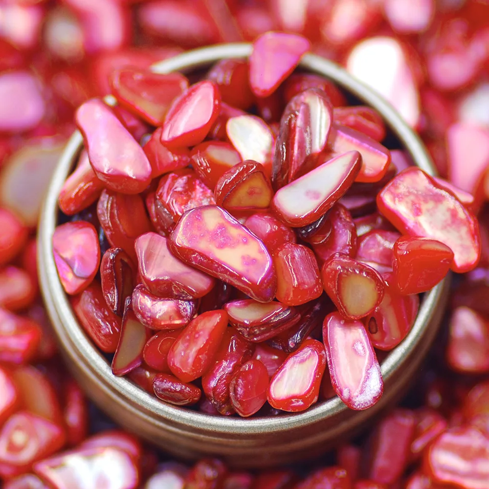 

Ракушка перламутровая XH10101