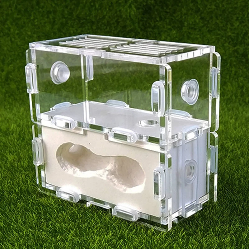 

Acrylic & Gypsum Ants Nest Ants Farm House For Insect Supplies Reptile Terrarium Christmas Gifts