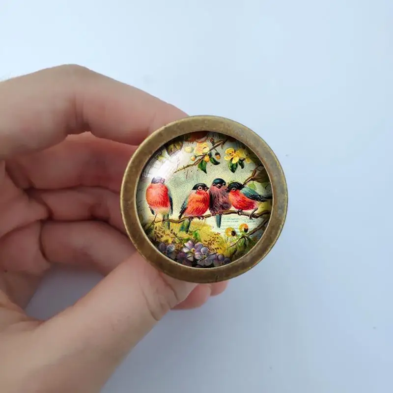 Ручки для шкафа стеклянные с птицами