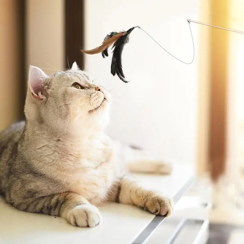 

Interactive Feather Stick Pet Cat Toy Fishing Rod Retractable Funny Pole Five Replacement Feathers Head Interactive Cat Toys