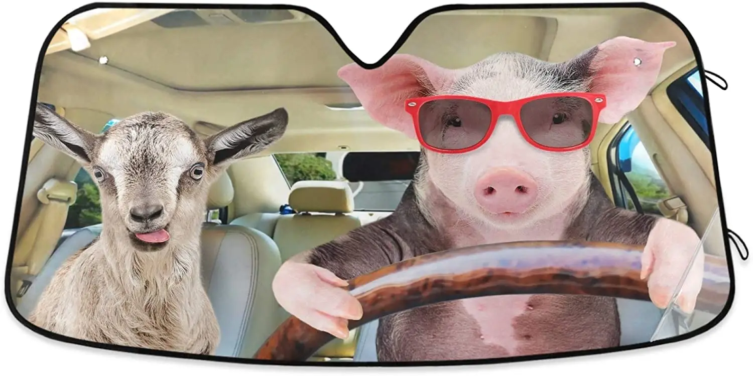 Забавные складные солнцезащитные