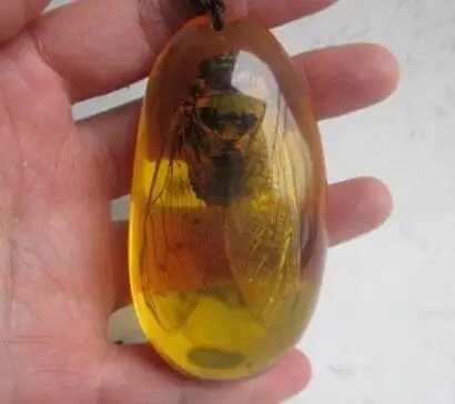 

3.11 inch/Chinese natural amber cicada necklace pendant