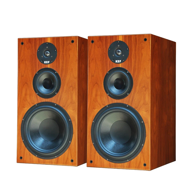 

10 Inch 250W Bookshelf Speakers Wooden Monitor Passive Fever Hifi Home Theater System Music Sound Equipment Amplifiers Speaker