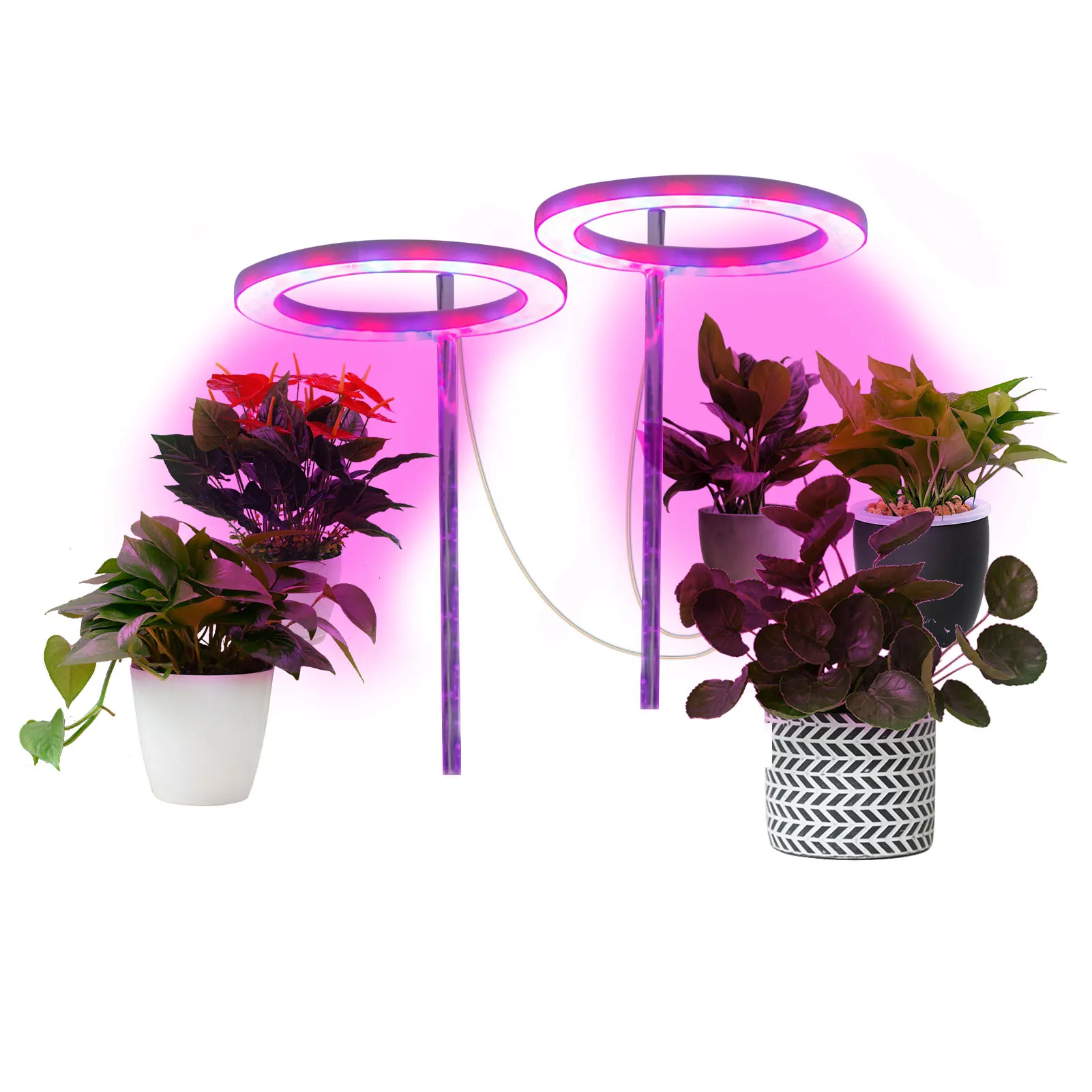 

Ring LED Plant Grow Light Plant Growth Lamp Indoor Potted Plants Led Growing Lamp Succulent Desktop Hydroponics Led Growing