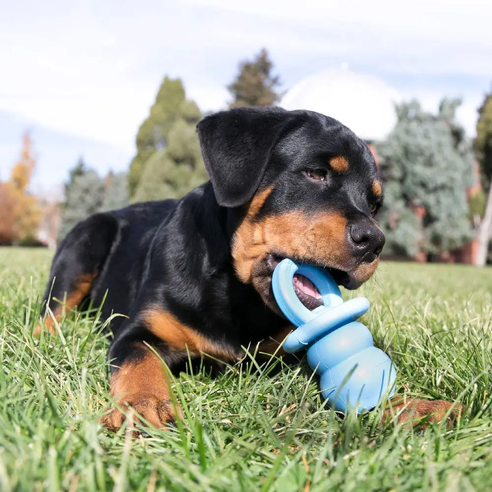 KONG Puppy Binkie, цвет варьируется, размер SM (art.: 3920dd1edef4f) - 3920dd1edef4f
