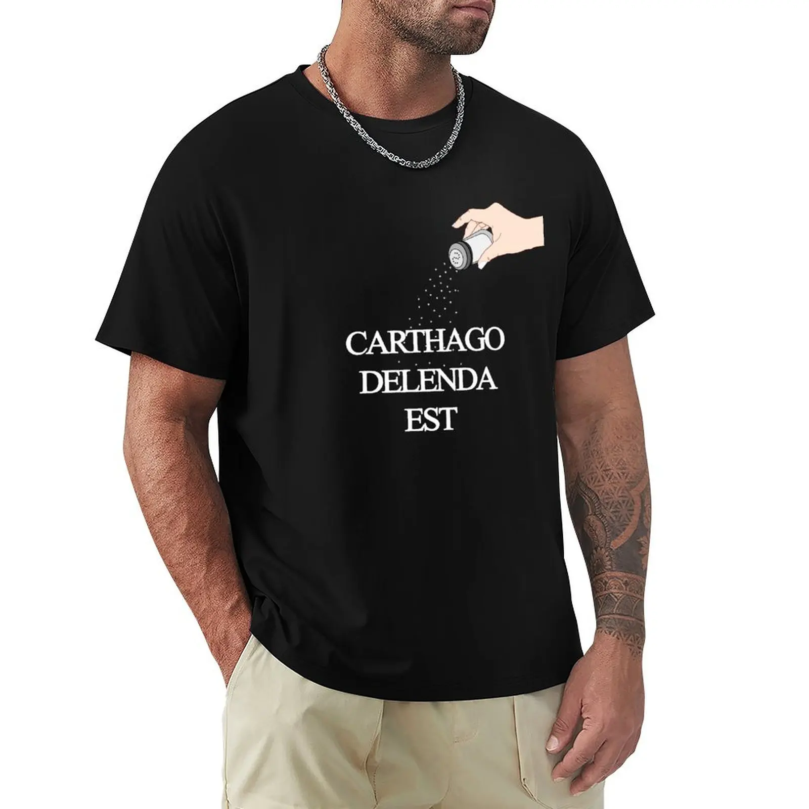 Фото Футболка Carthago Delenda Est, анти-пиллинг, повседневная футболка №1