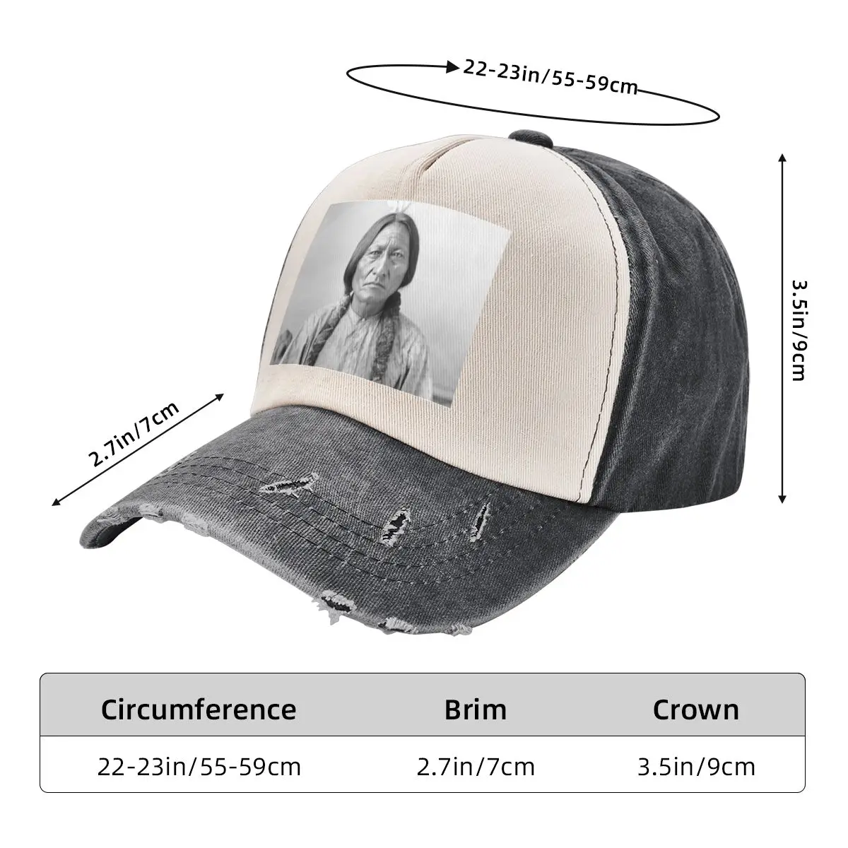 Сидящий бык Hunkpapa Lakota Leader Standing Rock Соединенные Штаты США Аборигеновское