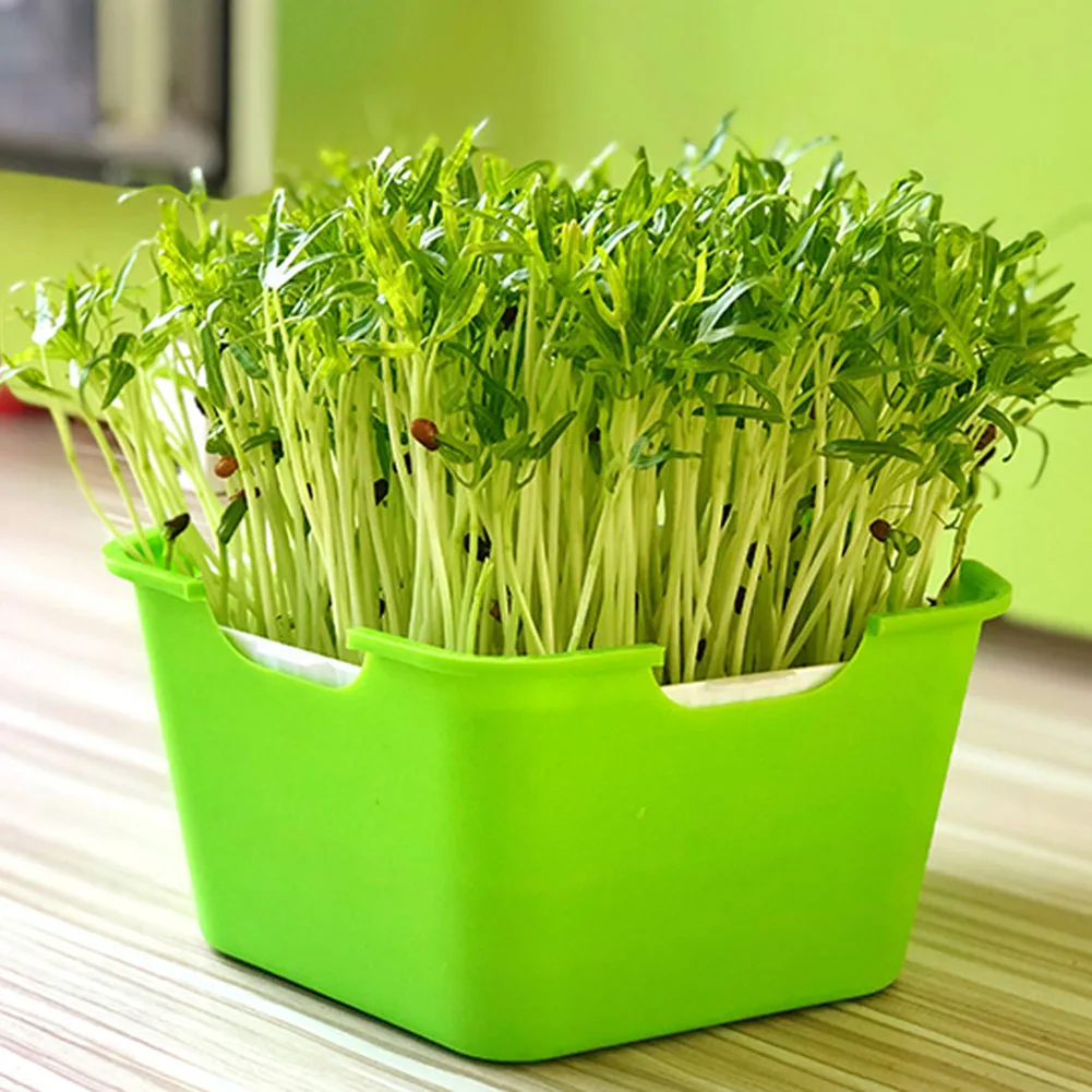 

Bean Sprout Growing Tray Seed Seedling Starter Dish Growing Pot Hydroponic Planting Vegetable Cat Grass Germination Nursery Pot