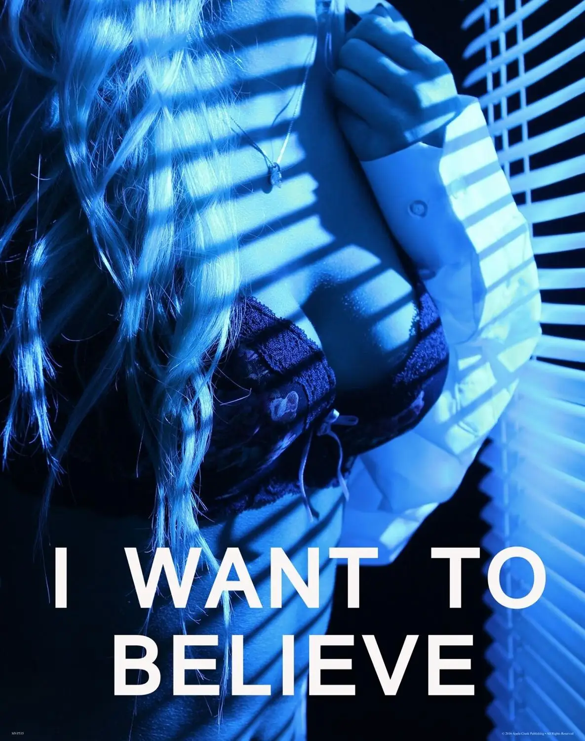 Я хочу верить что НЛО мотивационный художественный принт Шелковый плакат