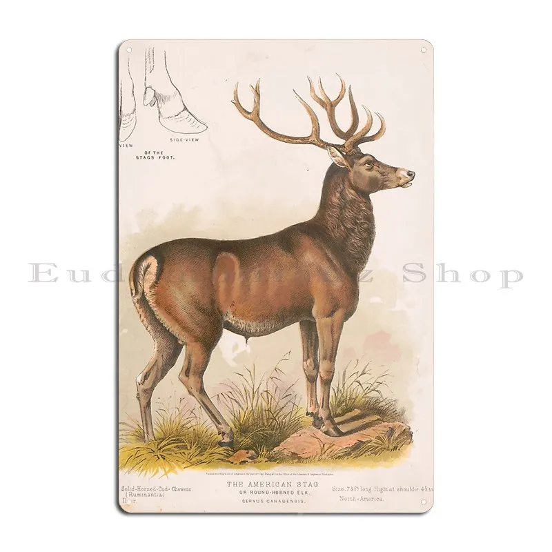 Винтажная иллюстрация круглого рогатого лося 1827 металлическая вывеска Bravuramedia