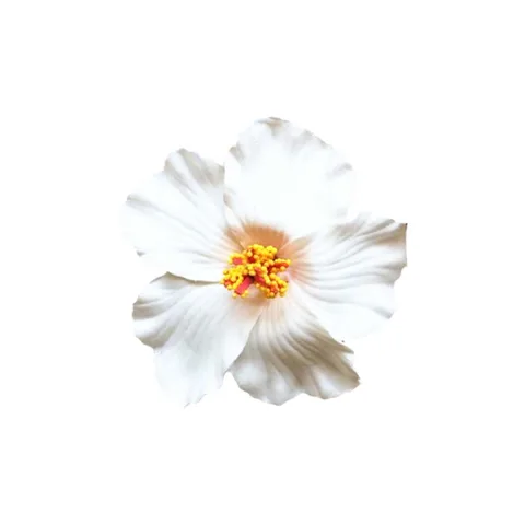 Гавайский цветок из пены, гибискус, искусственный цветок, украшение для волос