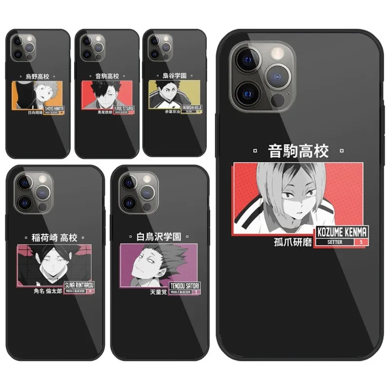 Haikyuu Hinata атакующий телефонный чехол для IPhone 14 13 12 11 XS X 8 7 6 Plus Mini Pro Max SE 2022 Черный PC TPU