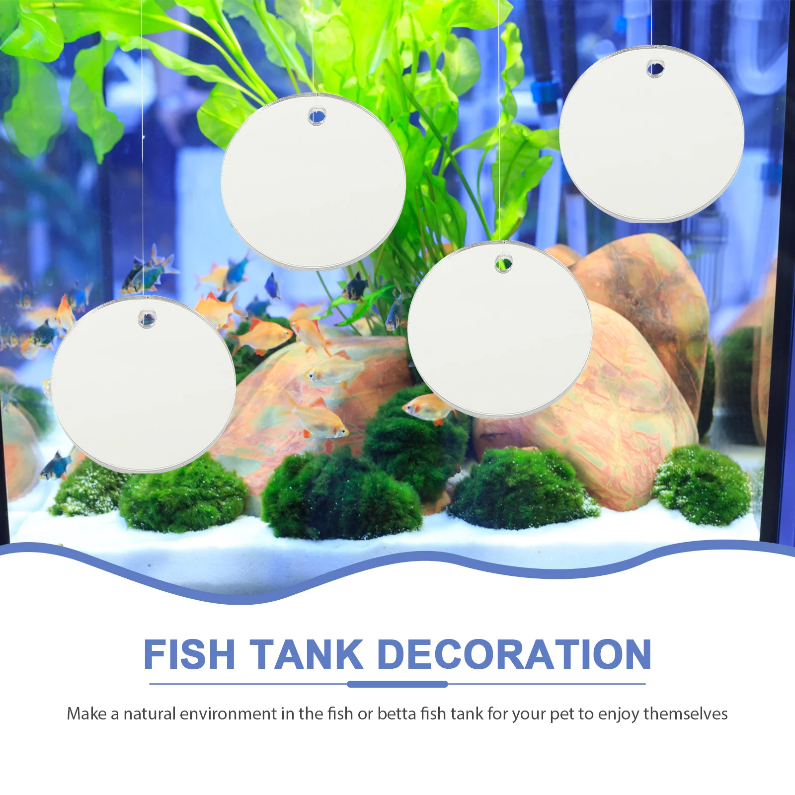 

Betta Mirror Tank Fish Sidetraining Decor Single Toys Supplies Decorations Floating Exercise Toy Mirrors Fighting Double
