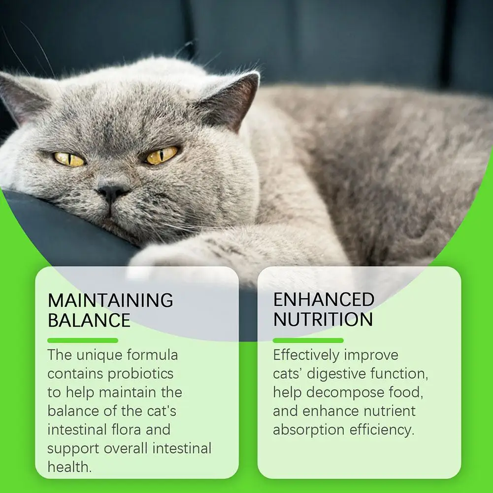 Натуральный антибиотик для кошек помогает с противовоспалительным