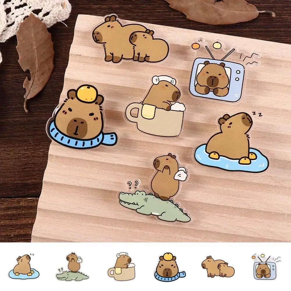 Ювелирные изделия акриловая булавка капибара милая забавная для девочек