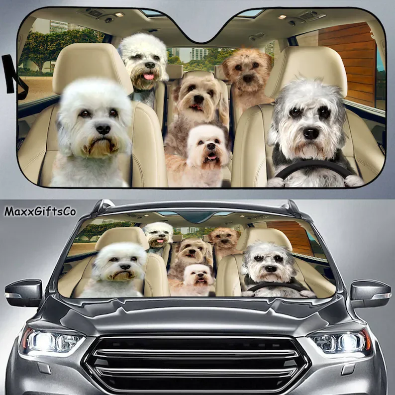 

Dandie Dinmont Car Sun Shade, Dandie Dinmont Windshield, Family Dogs Auto Sunshade, Dogs Car Accessories, Dandie Dinmont Lovers