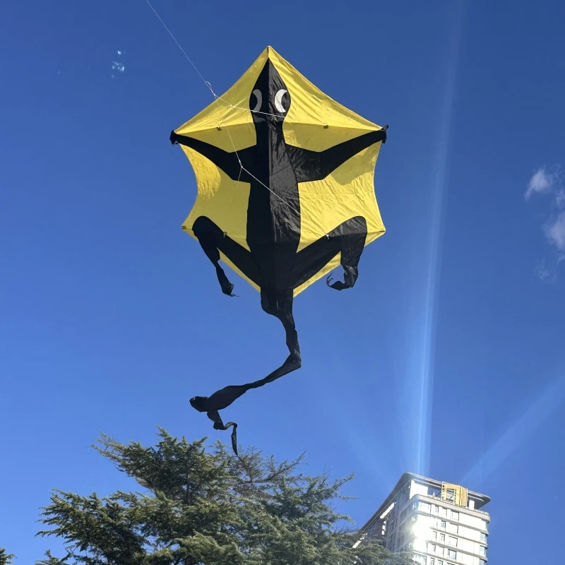 Бесплатная доставка Gecko воздушные змеи для взрослых kites fiying игрушки активного