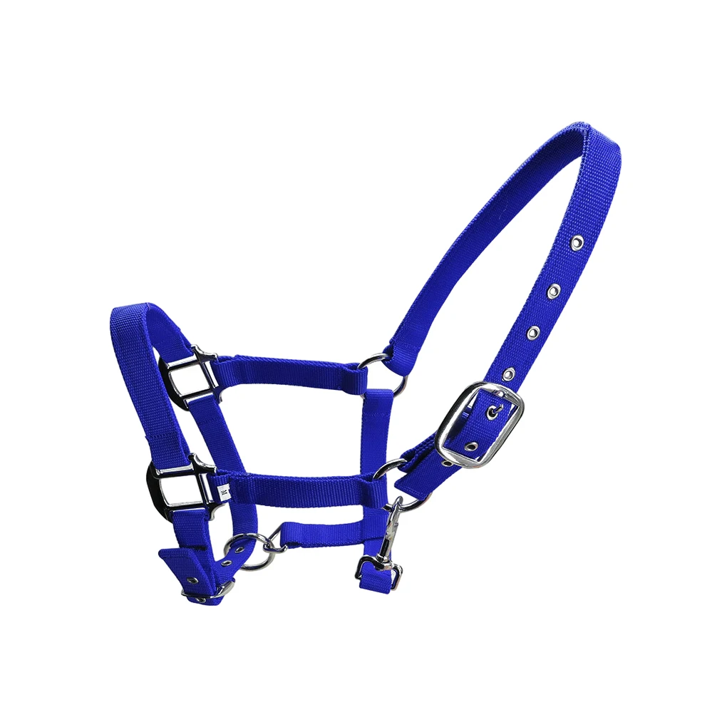 

Padded Halter Pony Bridle Head Collar Protective Gear Handily Wear Horse Supplies Rustproof Headstall Practical