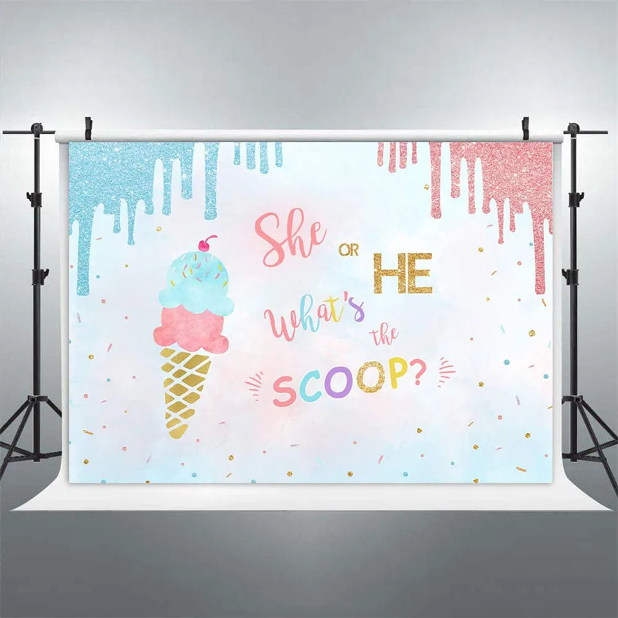 

Ice Cream Theme Baby Shower Photography Backdrop He or She Pink or Blue Gender Reveal Photo Background Boy or Girl Party Banner