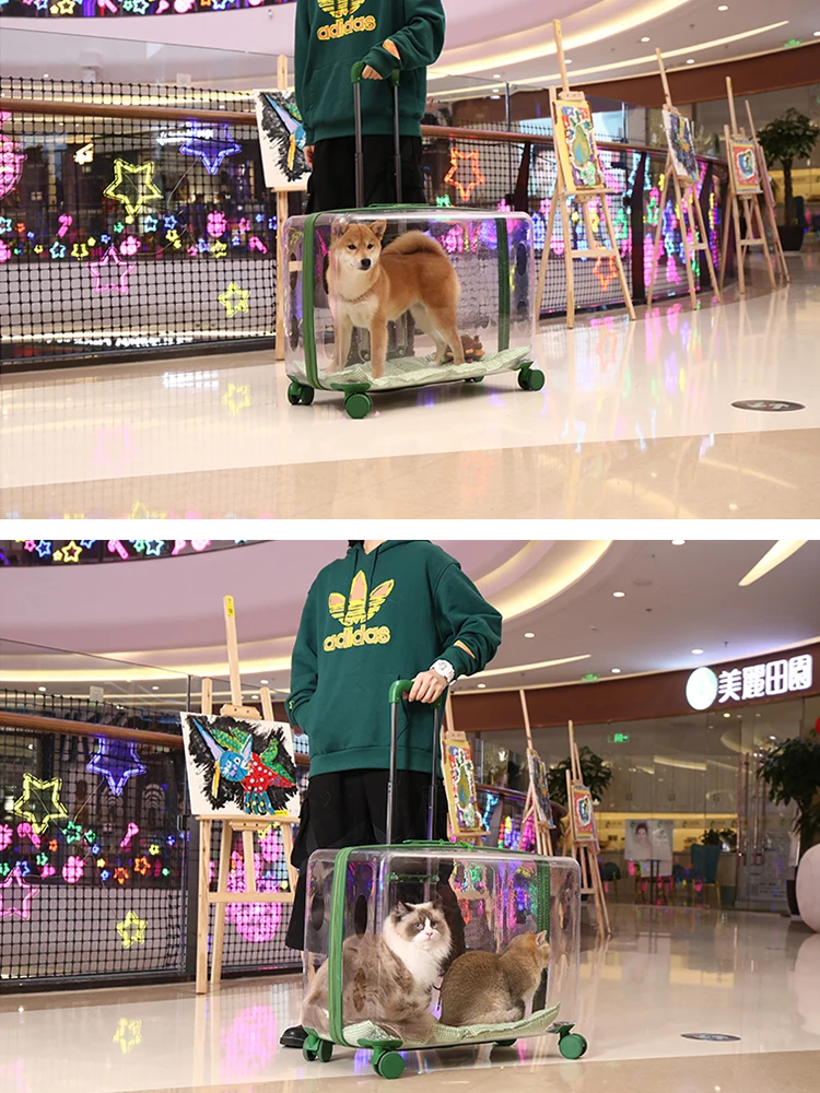 

Pet Trolley Case Transparent Cat Bag Out Portable Large Capacity Space Capsule Dog Cat Backpack Portable Suitcase Cat Carrier