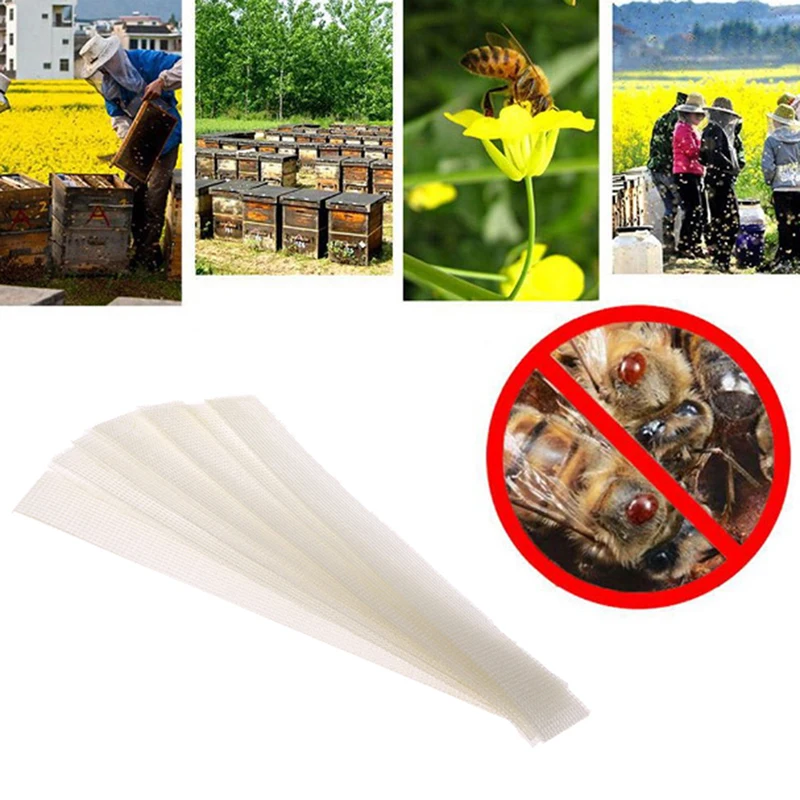 

Professional Acaricide Against The Bee Mite Strip Beekeeping Medicine Bee Varroa Mite Killer & Control Beekeeping Farm Medicines