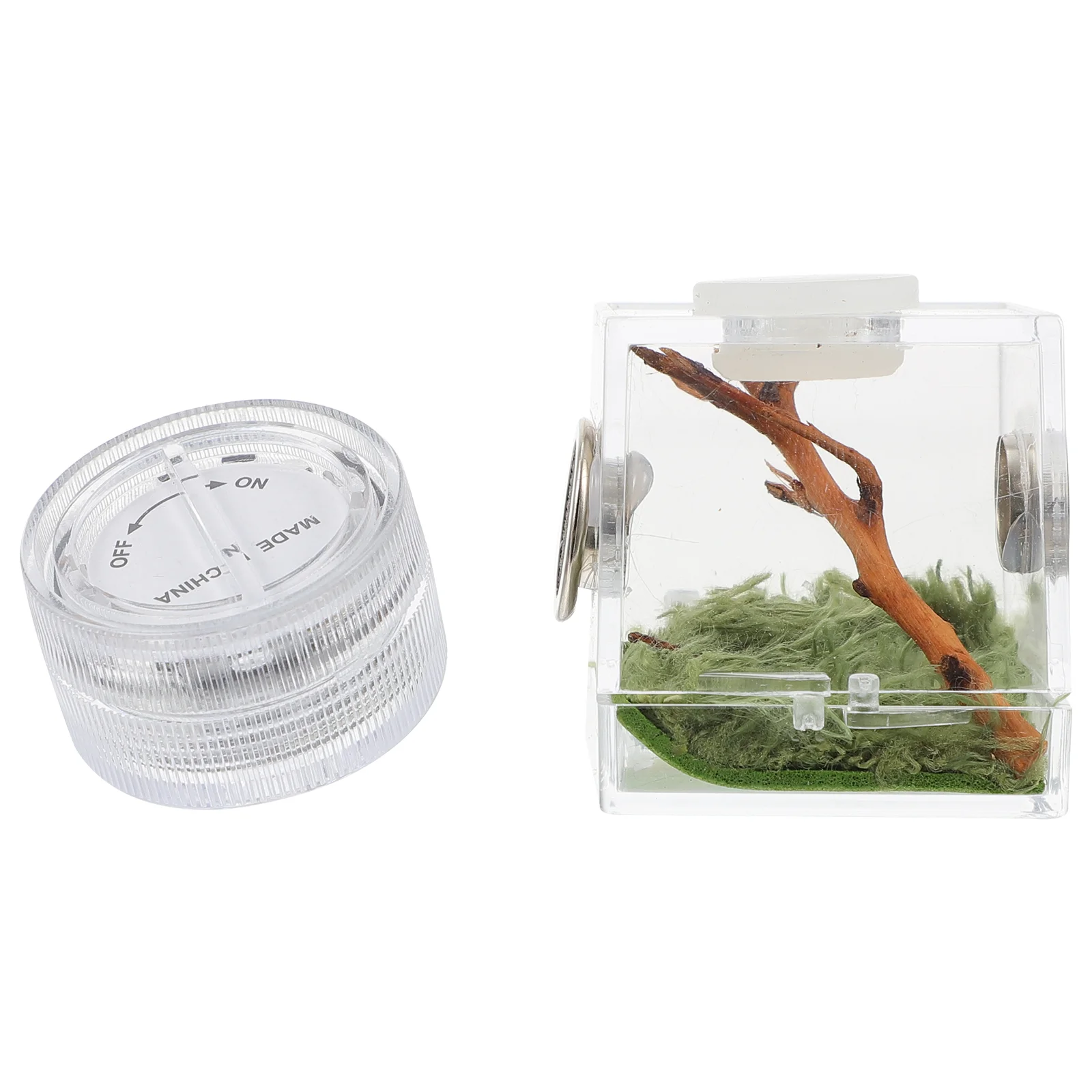 

Ecological Box Climbing Pet Terrarium Tank Micro Habitat Terrariums Jumping Spider Cage Spider House Insect Box