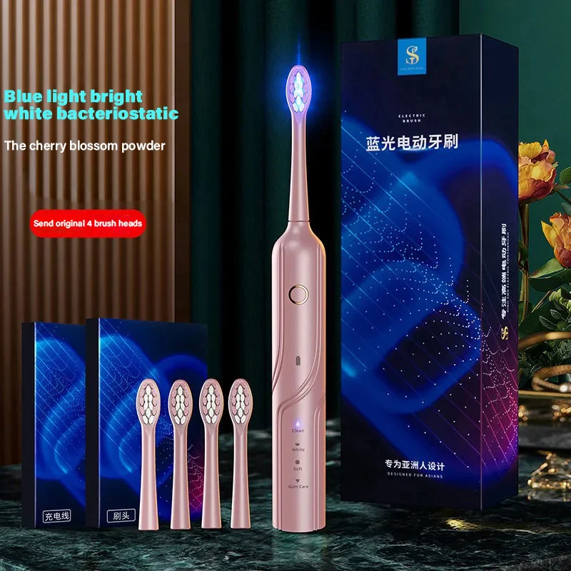 Sonic Electric Toothbrush SG-507 adult Timer Teeth Whitening Brush 4 ModesUSB Rechargeable Send Toothbrushes Heads enlarge