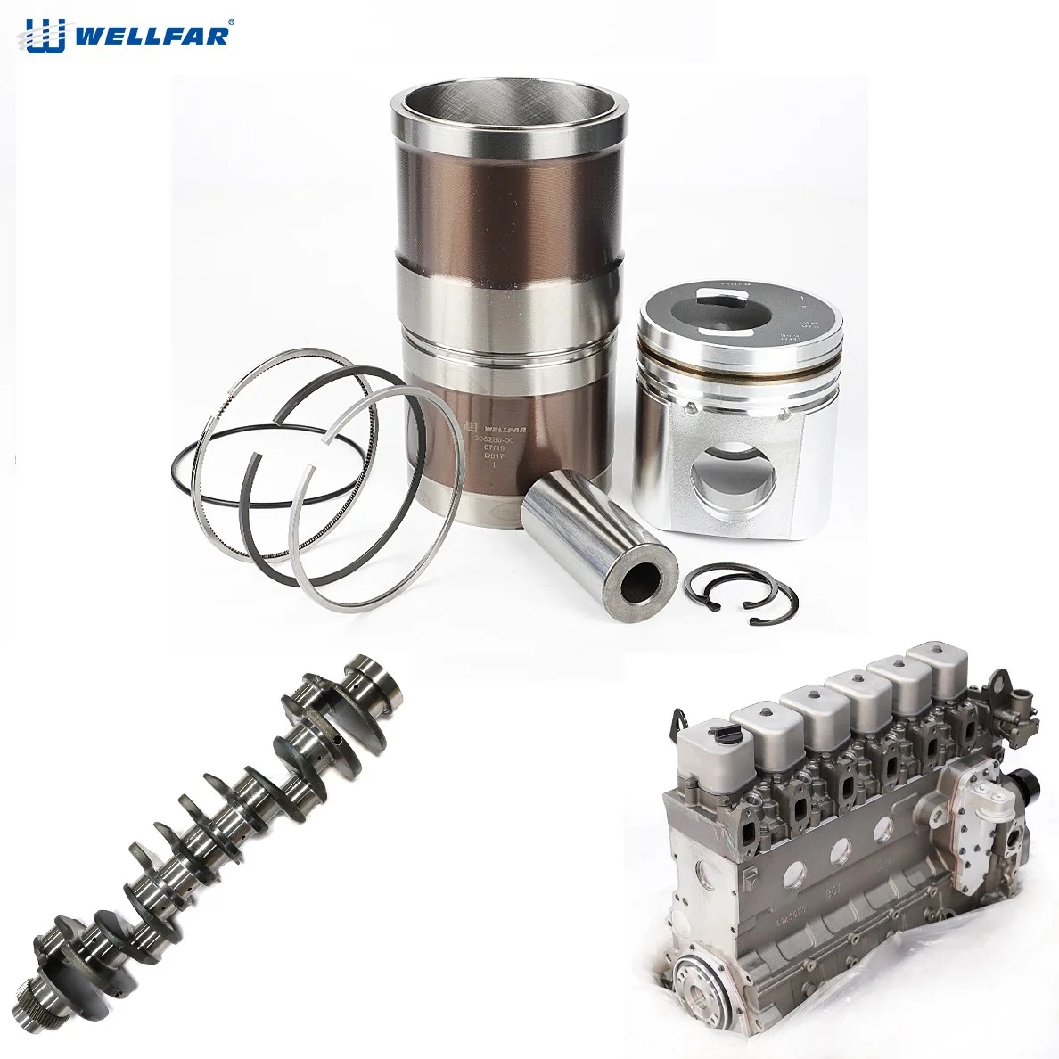 

Wellfar Engine auto Parts Piston Piston Rings Set For CAT