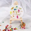 140/280PCS Real Dried Flowers Little Star Flower For DIY Art Craft Epoxy Resin Candle Mold Making Jewellery Filling