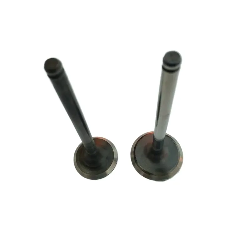 Фото (16 шт./компл.) Впускной клапан/выпускные клапаны для двигателя SAIC ROEWE 350 MG3 MG5 1,5 л, автозапчасти для двигателя 10020743 / 10049011 №2