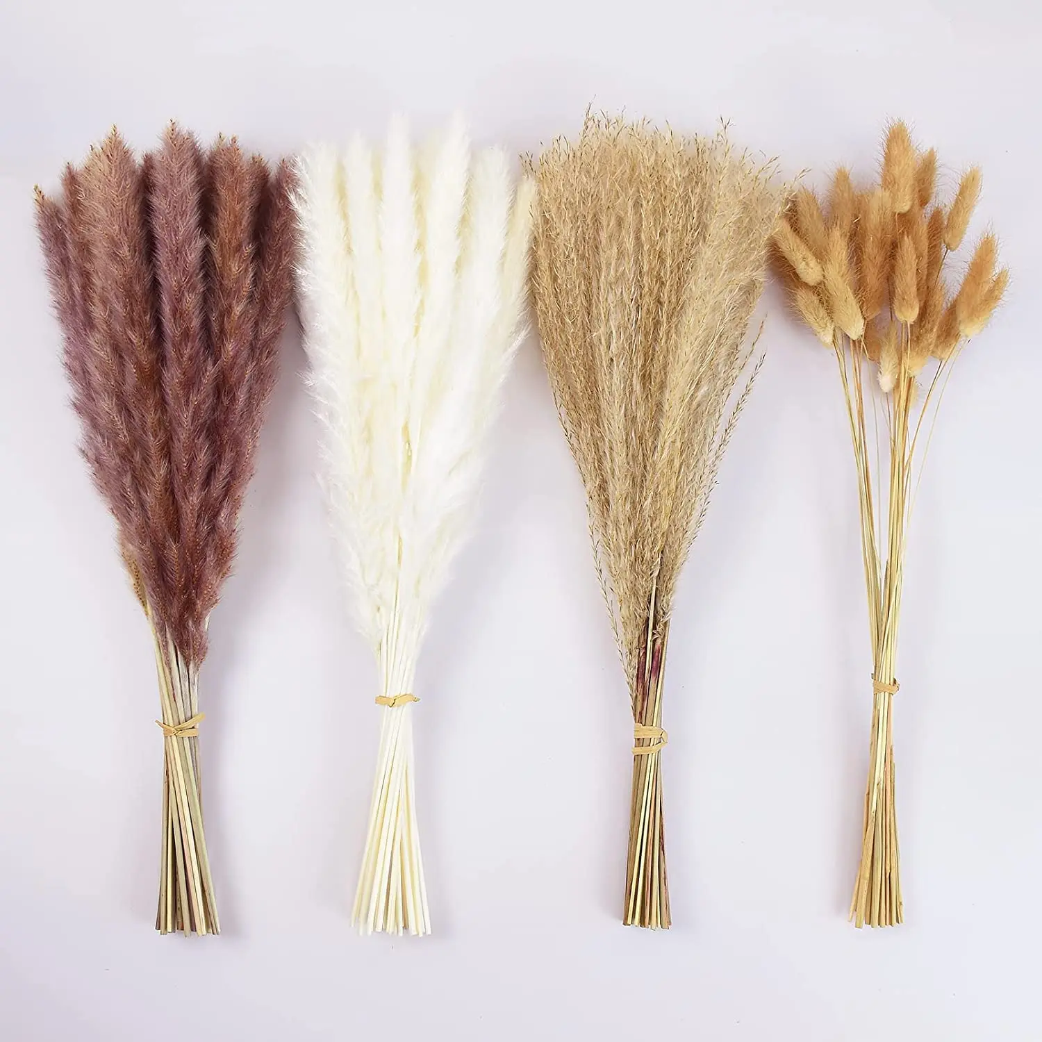 

90Pcs Pampas Grass for Boho Chic Home Decor and Naturally Dried Flower Bouquet Bunny Tails and Reed Grass Phragmites Dekoration