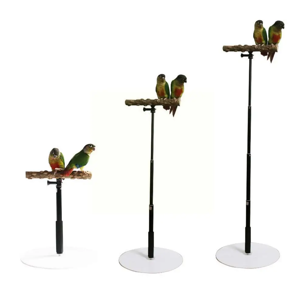 

T Shape Standing Parrot Bird Training Stand Detachable Supplies Parrot Adjustable Stand Display Toys Bird I9E0
