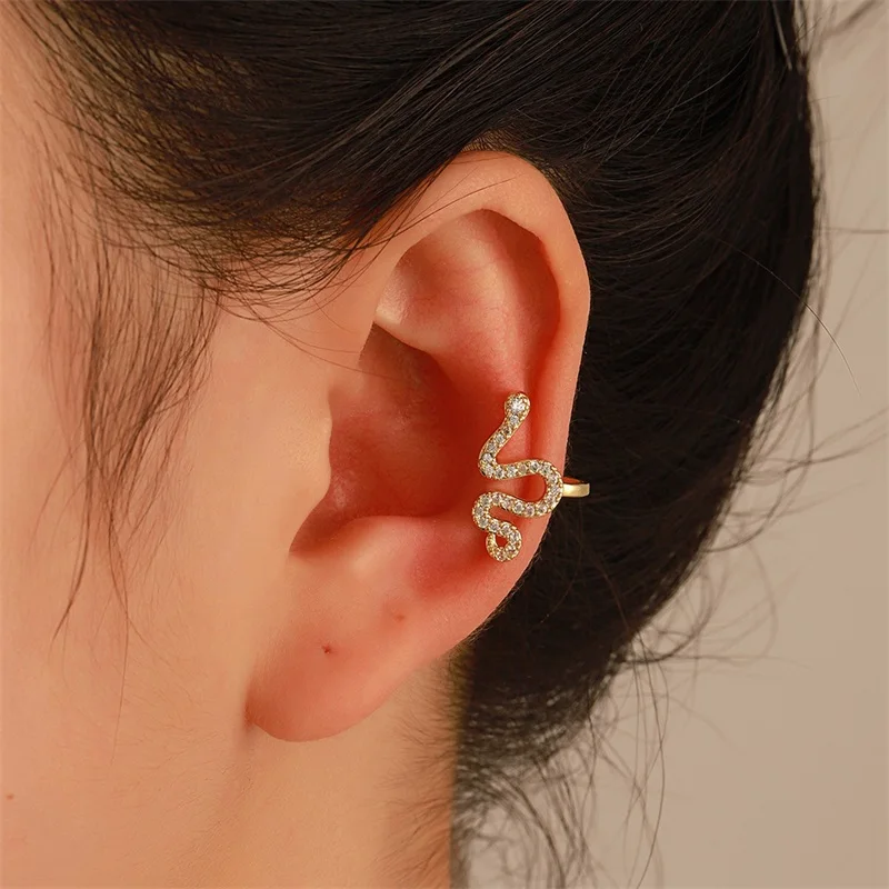 

Inlay Zircon Snake Shape Earrings for Women Gold Silver color S-shaped Jewelry For Lady Accessories Gift Drop-shipping