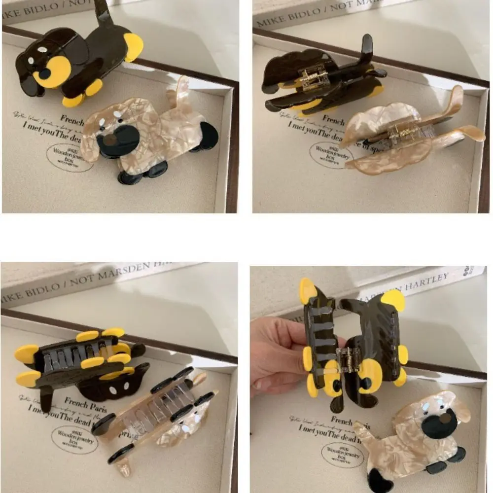 Персонализированная уксусная кислота ацетат колбаса собачья шерсть коготь