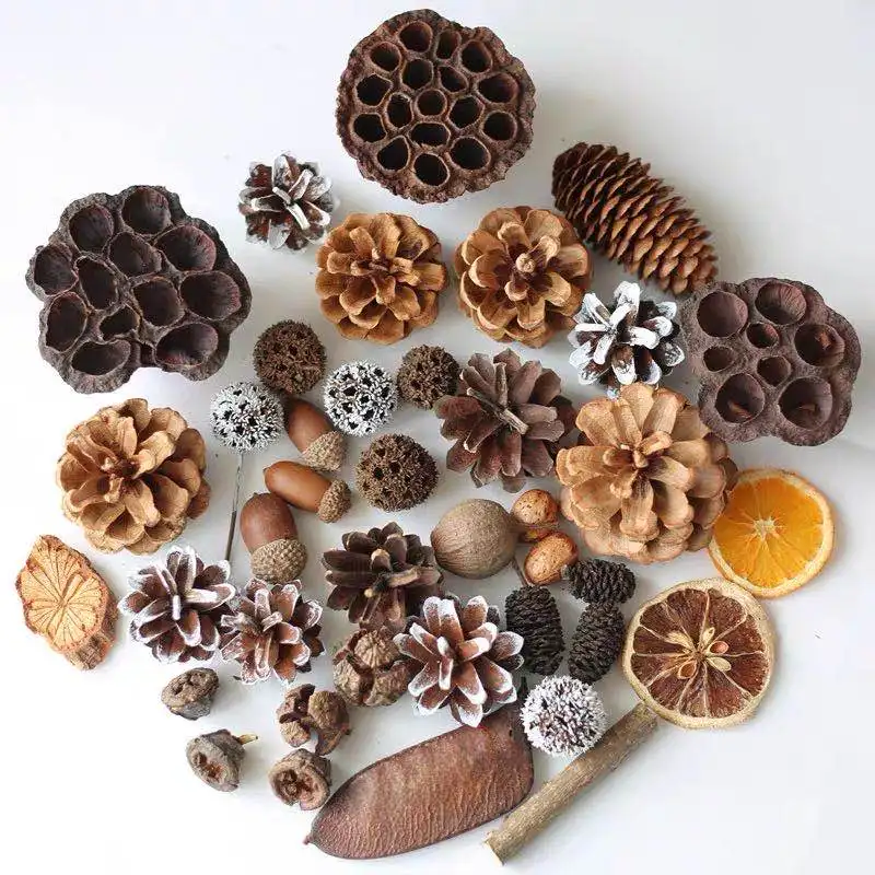 Материал Монтессори Сенсорная корзина с сокровищами сосновый конус