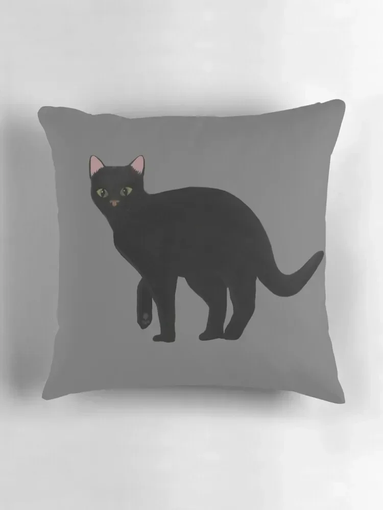 Мой черный кот # 1 декоративная подушка для детей чехол подушки роскошный