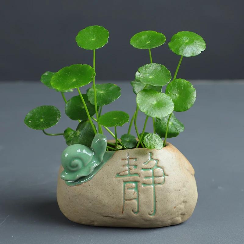 

Горшок для гидропонных растений, медный, денежный, травяной, непористый, зеленый контейнер для растений, настольный цветочный горшок, фотов...