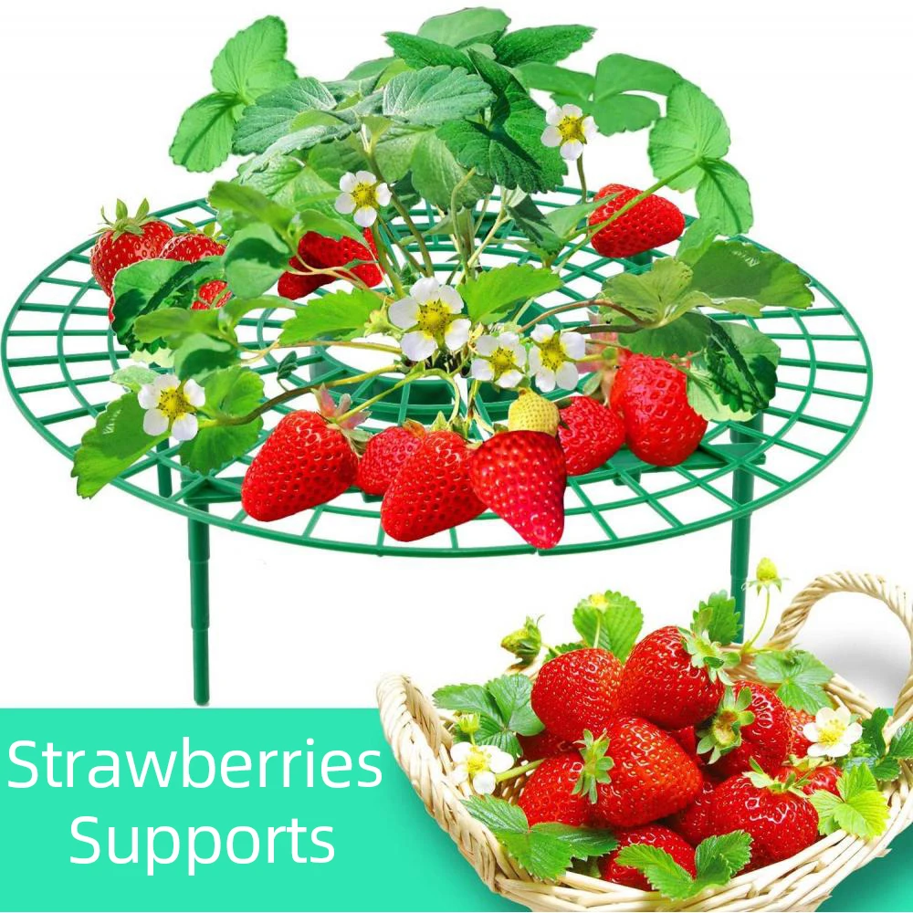 

Strawberry Supports Strawberries Vegetable Growing Fruit Stand Plant Vine Rack for Keeping Fruit Elevated to Avoid Ground Rot