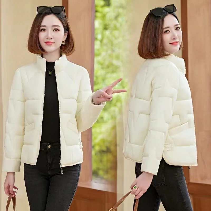 Короткая теплая куртка с хлопковой подкладкой женские толстые парки роскошное